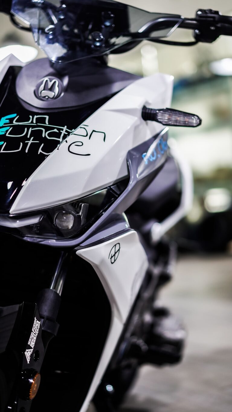 FELO FW06 Elektroroller Felo Deutschland